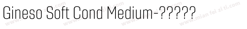 Gineso Soft Cond Medium字体转换